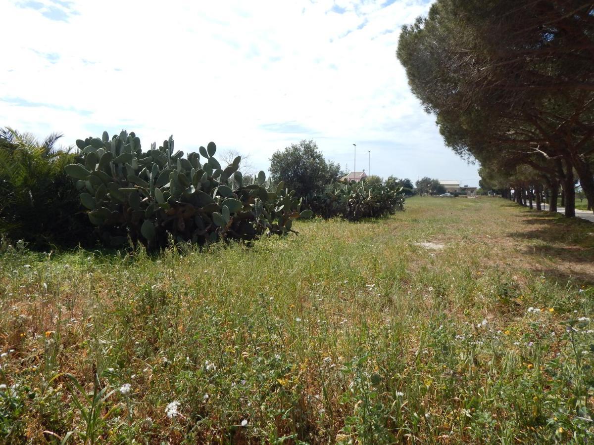 Turtle Island Apartments Santa Croce Camerina Bagian luar foto