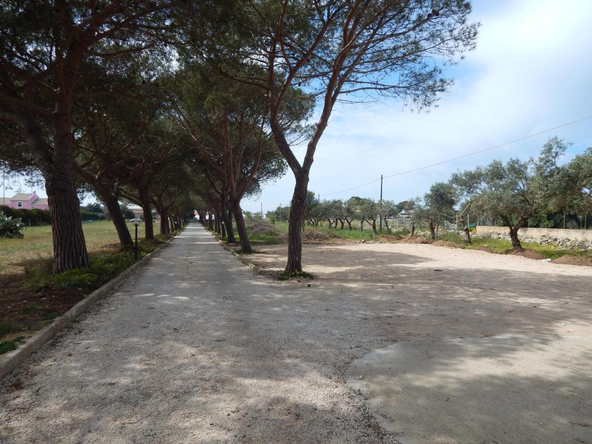 Turtle Island Apartments Santa Croce Camerina Bagian luar foto