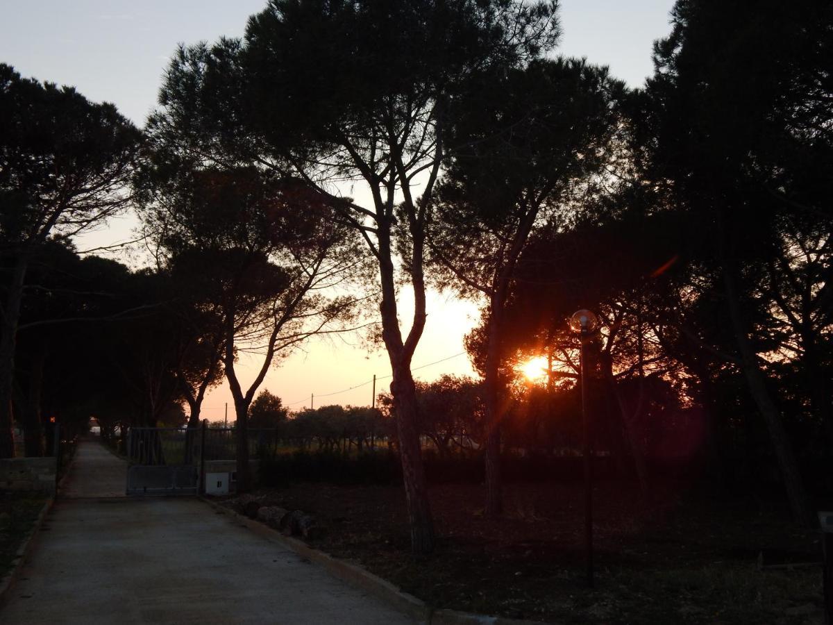 Turtle Island Apartments Santa Croce Camerina Bagian luar foto