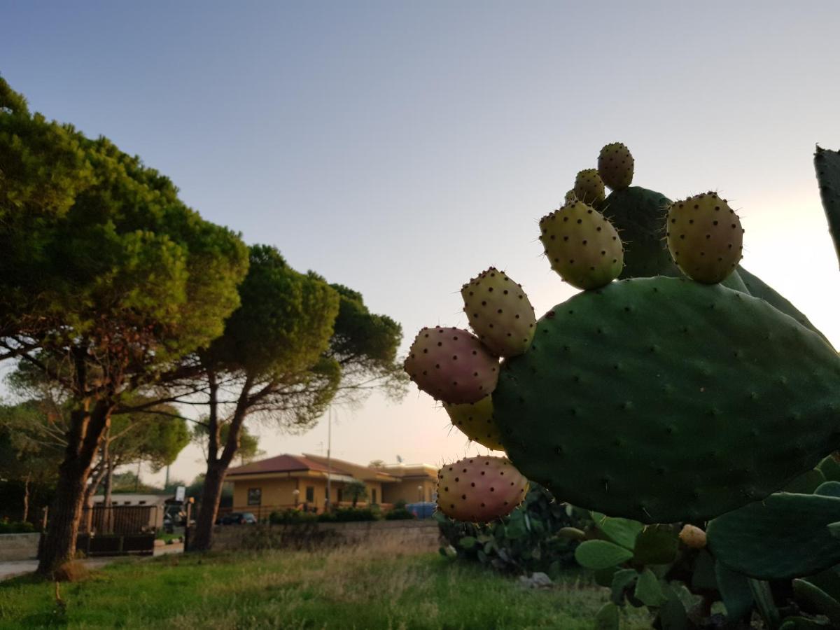 Turtle Island Apartments Santa Croce Camerina Bagian luar foto