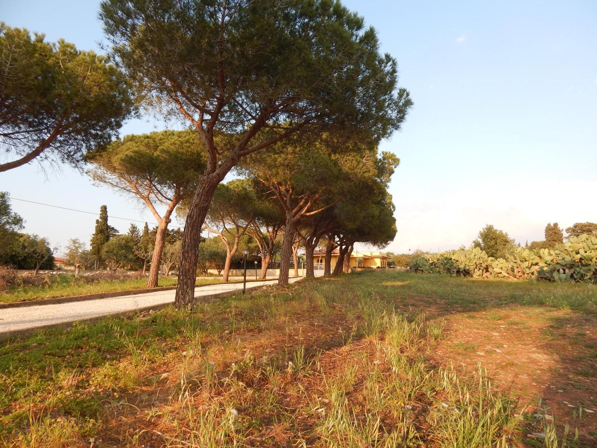 Turtle Island Apartments Santa Croce Camerina Bagian luar foto