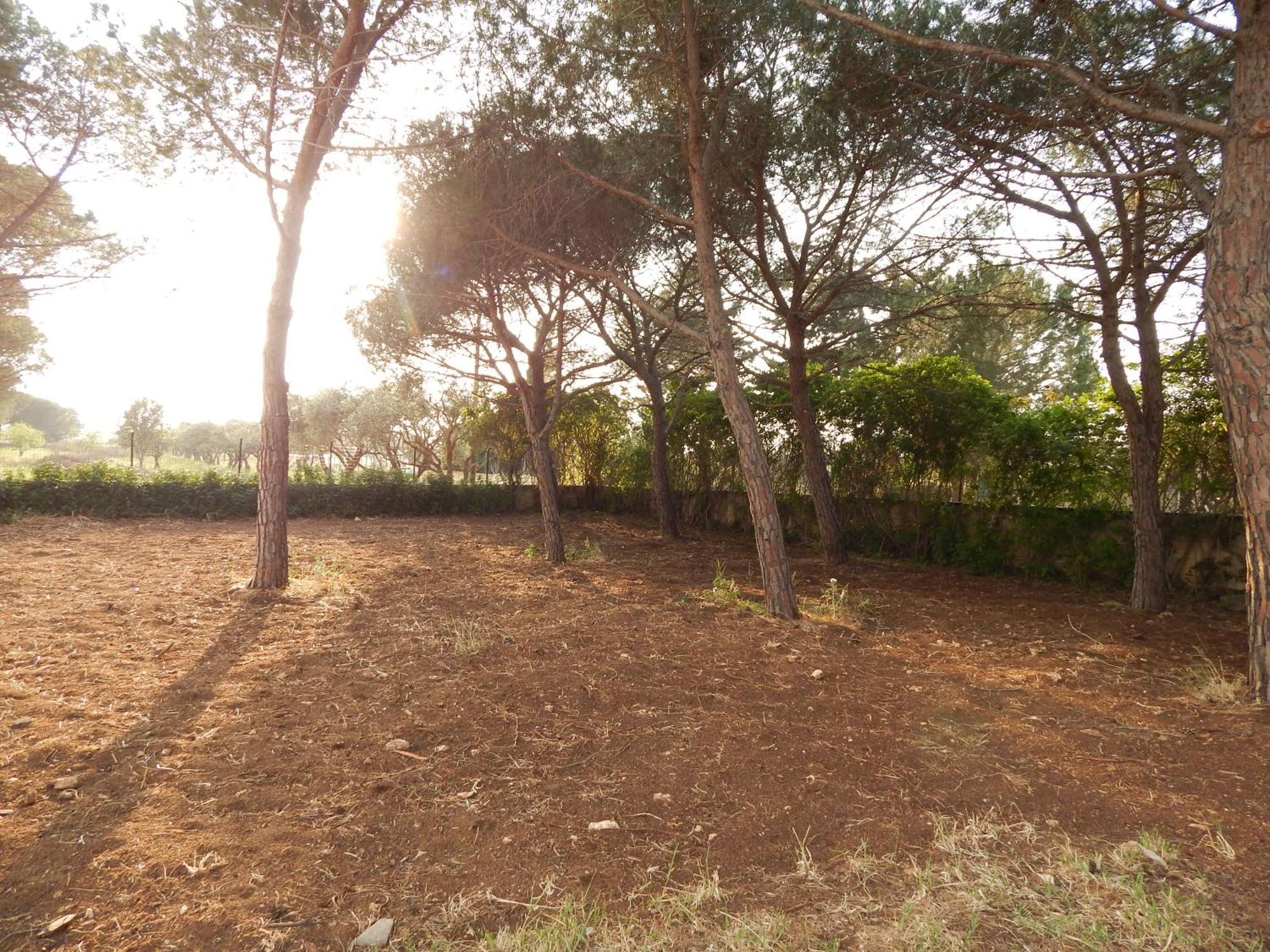 Turtle Island Apartments Santa Croce Camerina Bagian luar foto