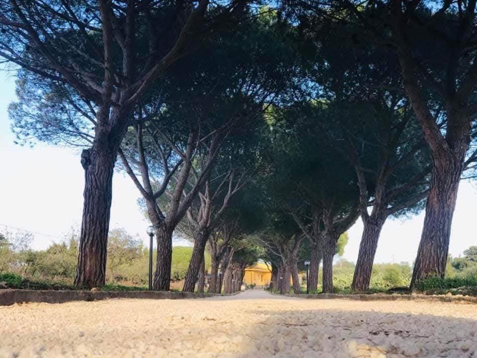 Turtle Island Apartments Santa Croce Camerina Bagian luar foto